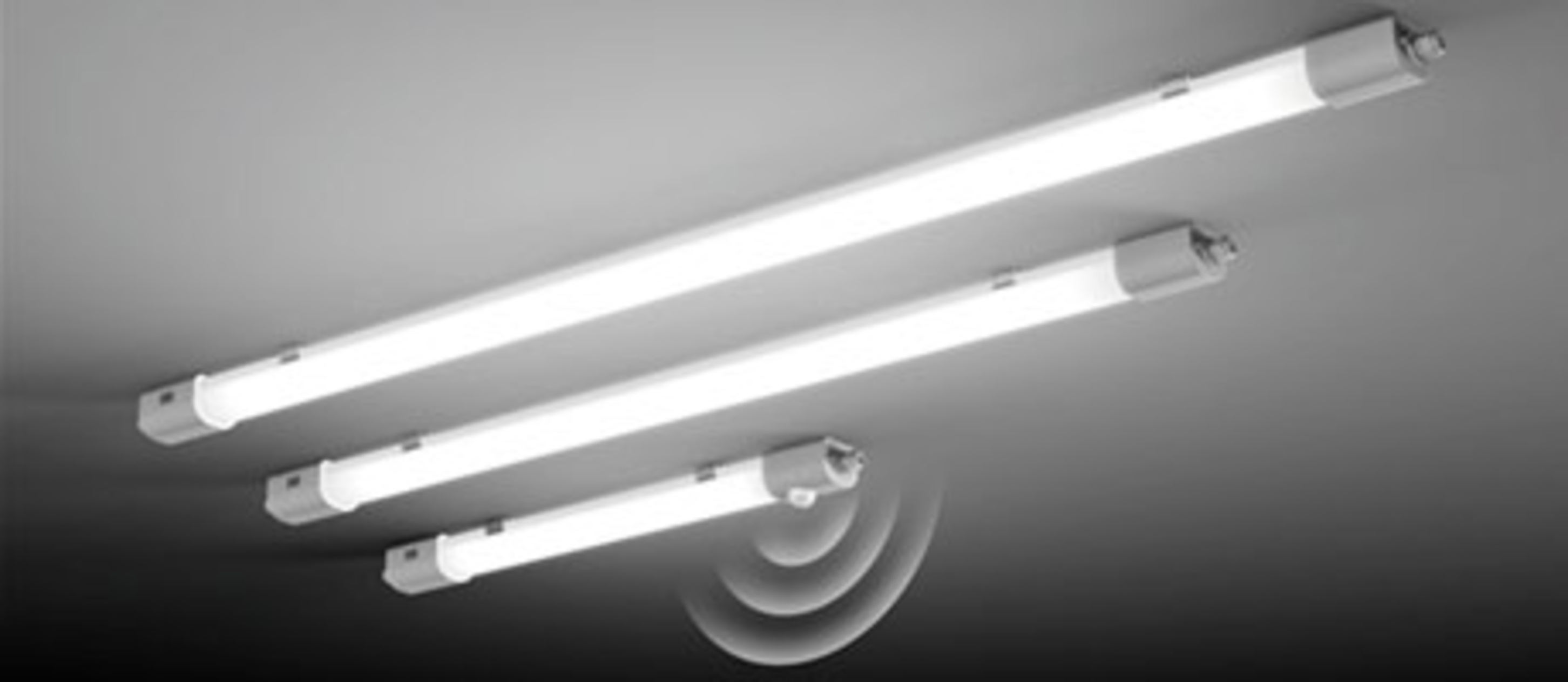 Planox Feuchtraumleuchten bei Elektro Lang GmbH Stuttgart in Stuttgart